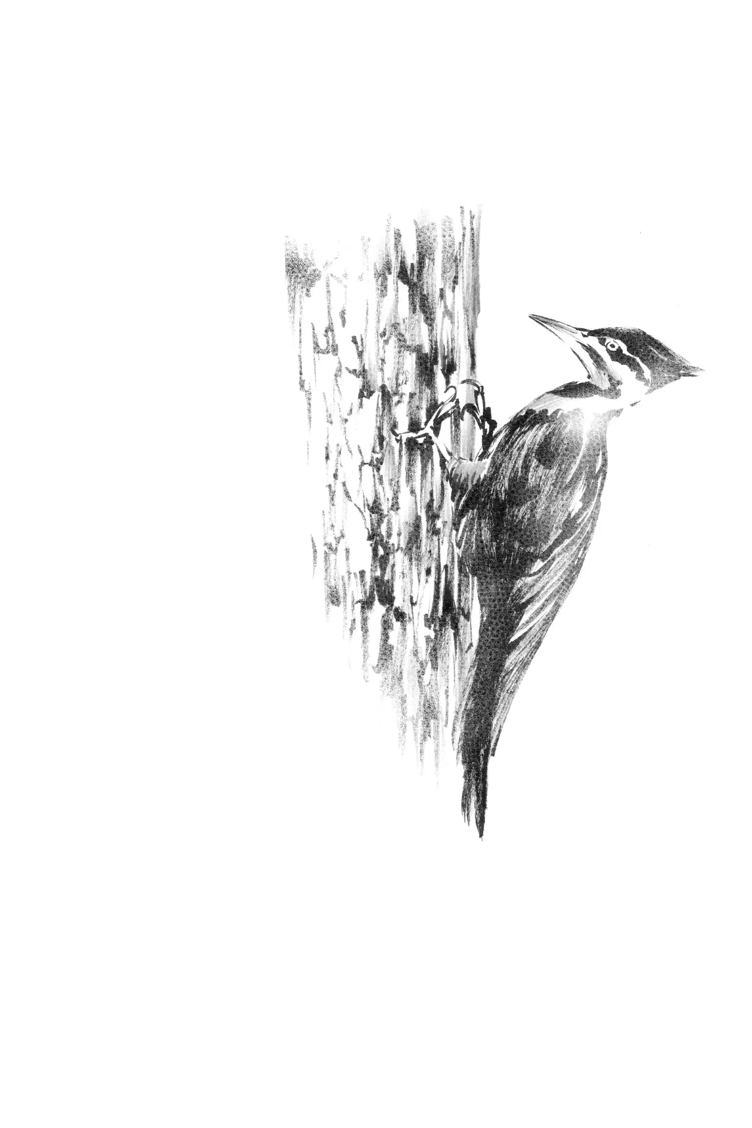 Deadman Wonderland Chapter 56 image 49